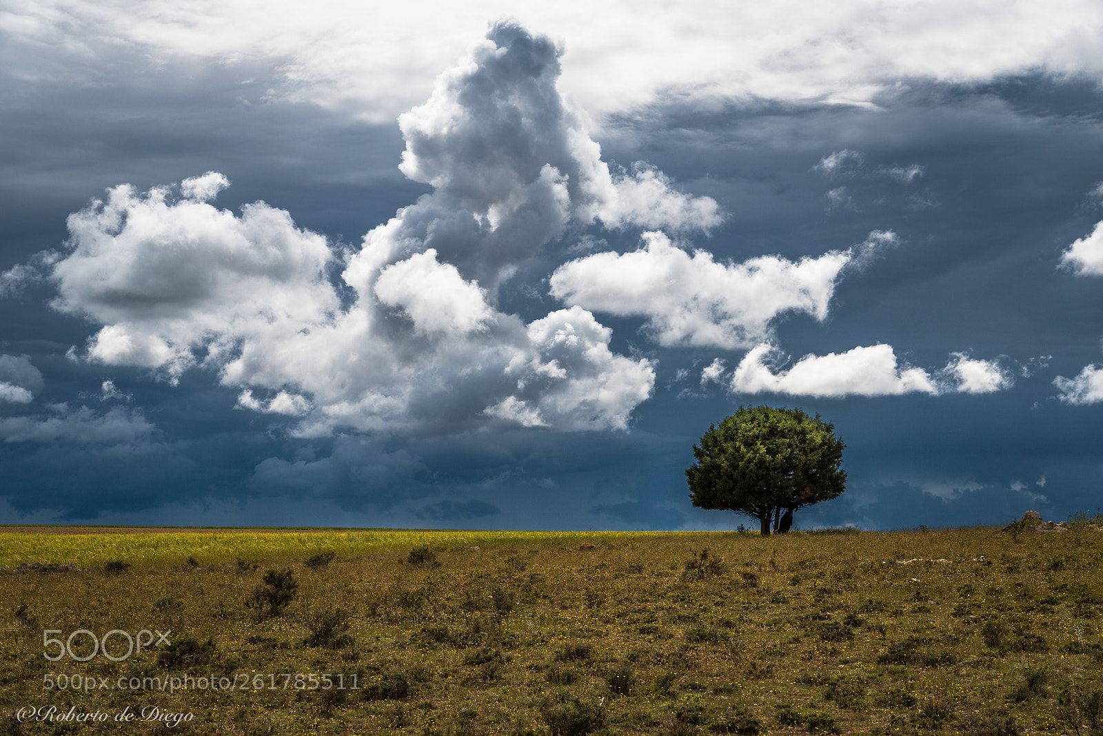 Nikon D750 sample photo. Preludio de la tormenta. photography
