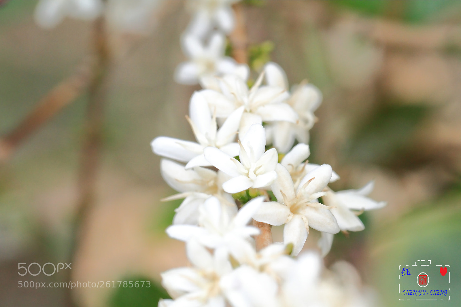 Canon EOS 7D sample photo. Coffee photography