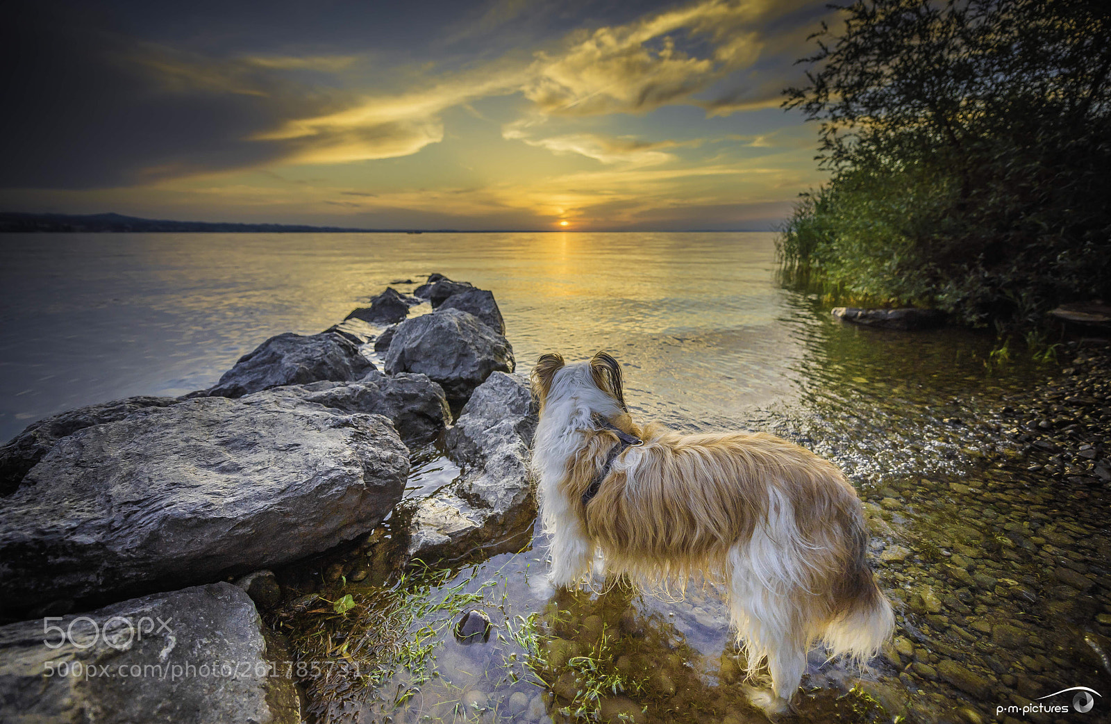 Nikon D750 sample photo. Bodensee photography