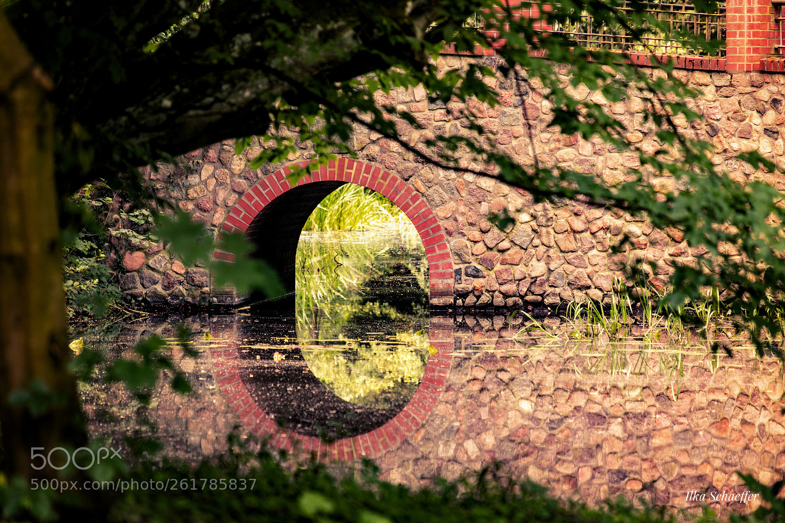 Canon EOS 5D Mark IV sample photo. Burggraben photography