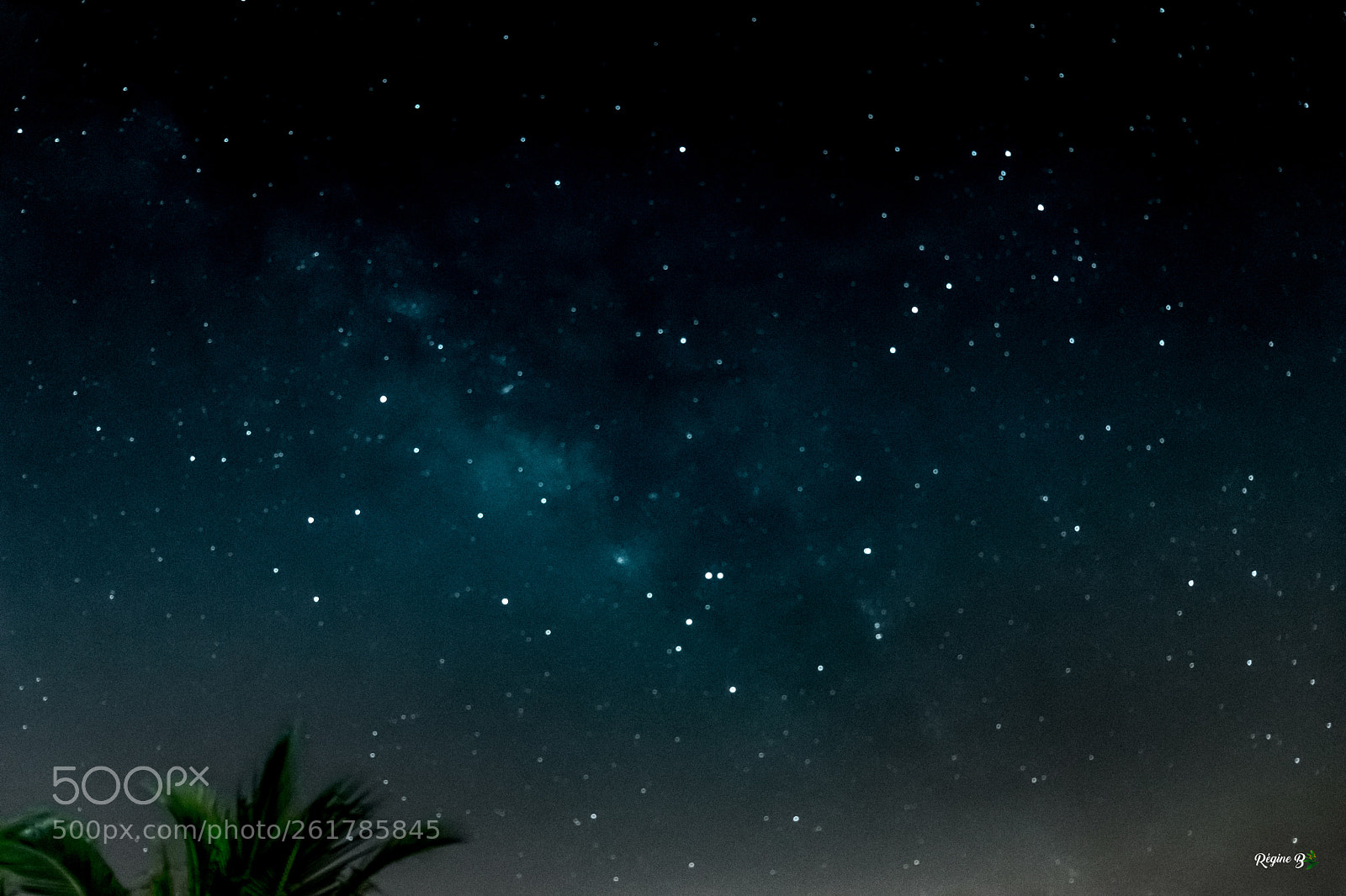 Canon EOS 200D (EOS Rebel SL2 / EOS Kiss X9) sample photo. 1st milky way photography