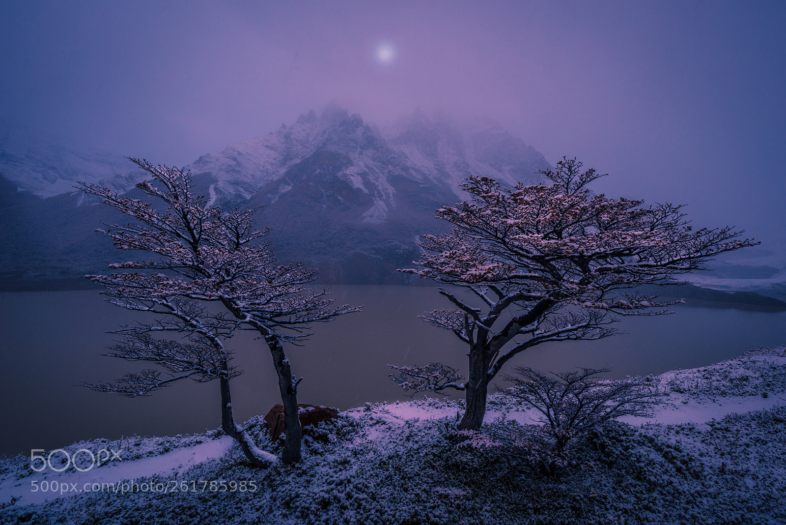 Nikon D810 sample photo. A quiet night photography