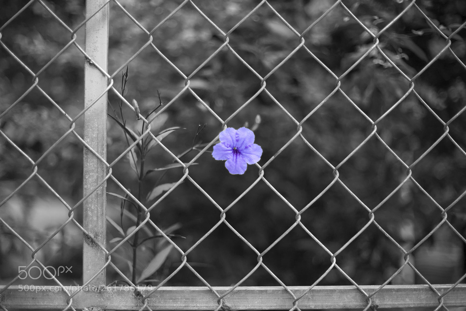 Canon EOS 5D sample photo. Untitled photography