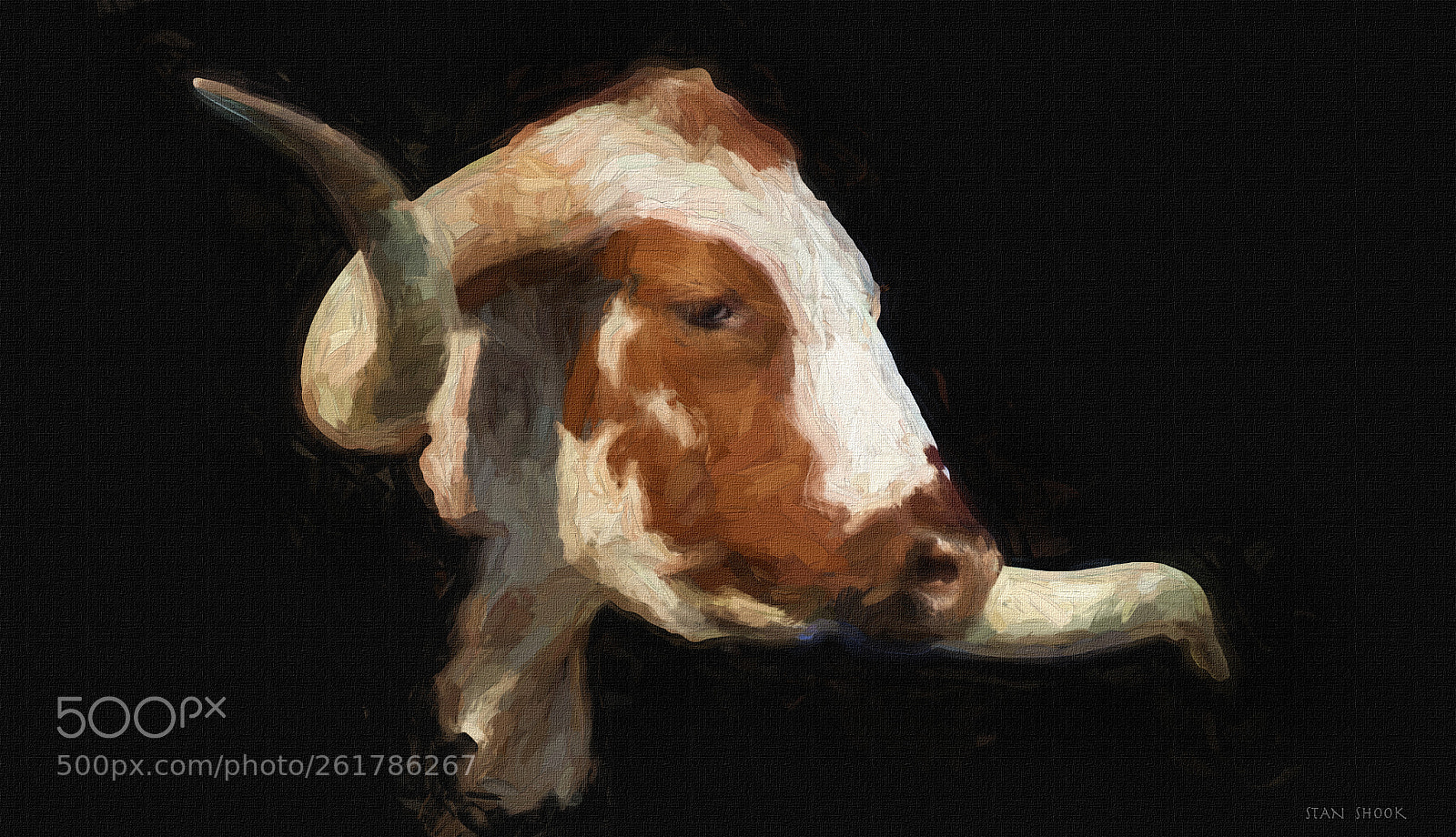 Canon EOS 100D (EOS Rebel SL1 / EOS Kiss X7) sample photo. Impasto longhorn photography