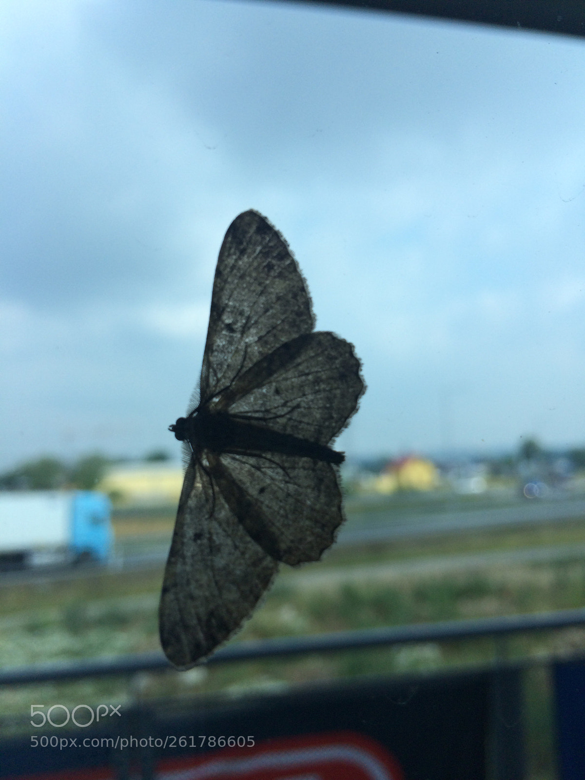 Apple iPhone 5s sample photo. Untitled photography