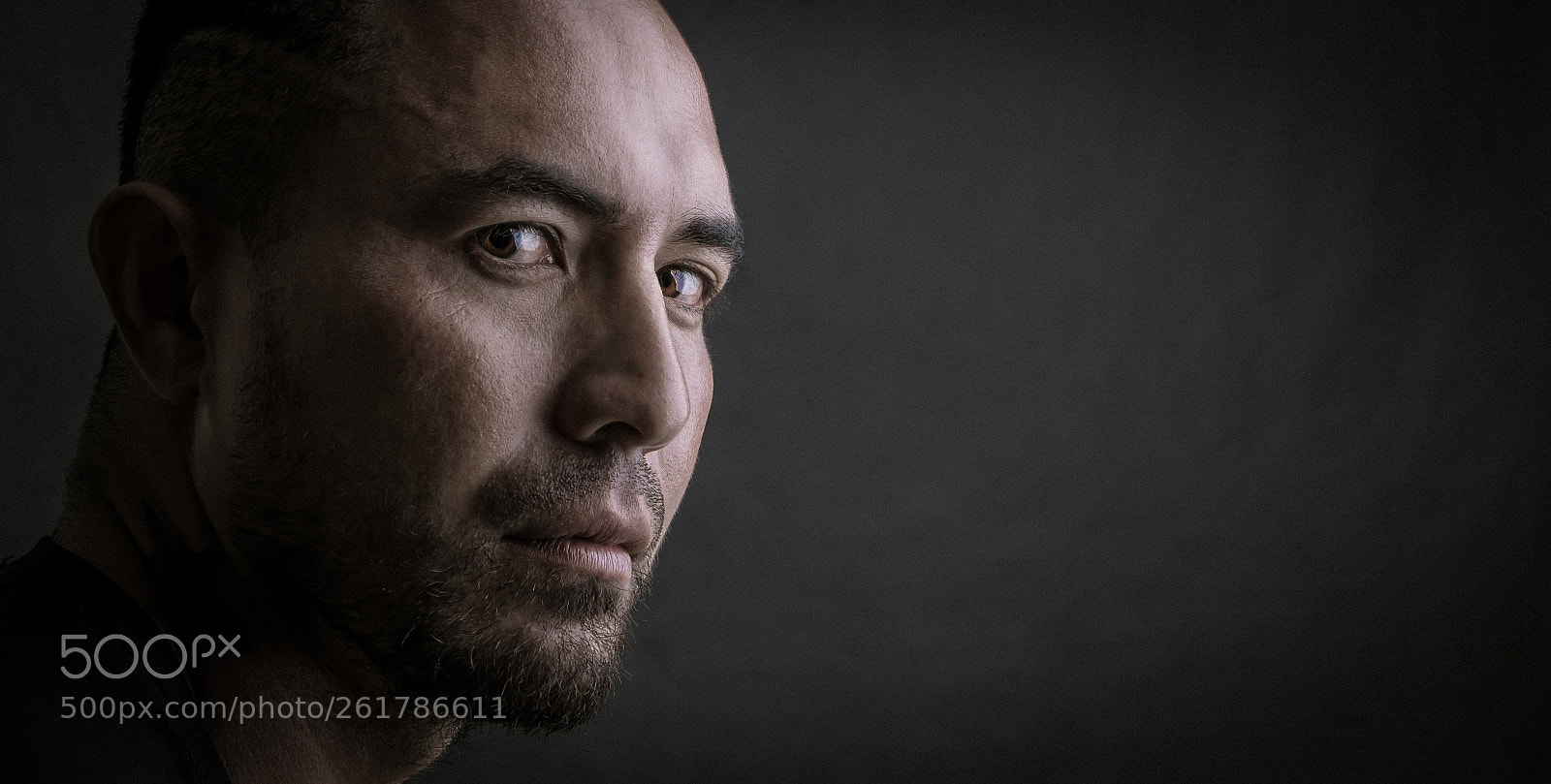 Canon EOS 700D (EOS Rebel T5i / EOS Kiss X7i) sample photo. Fred - the look photography