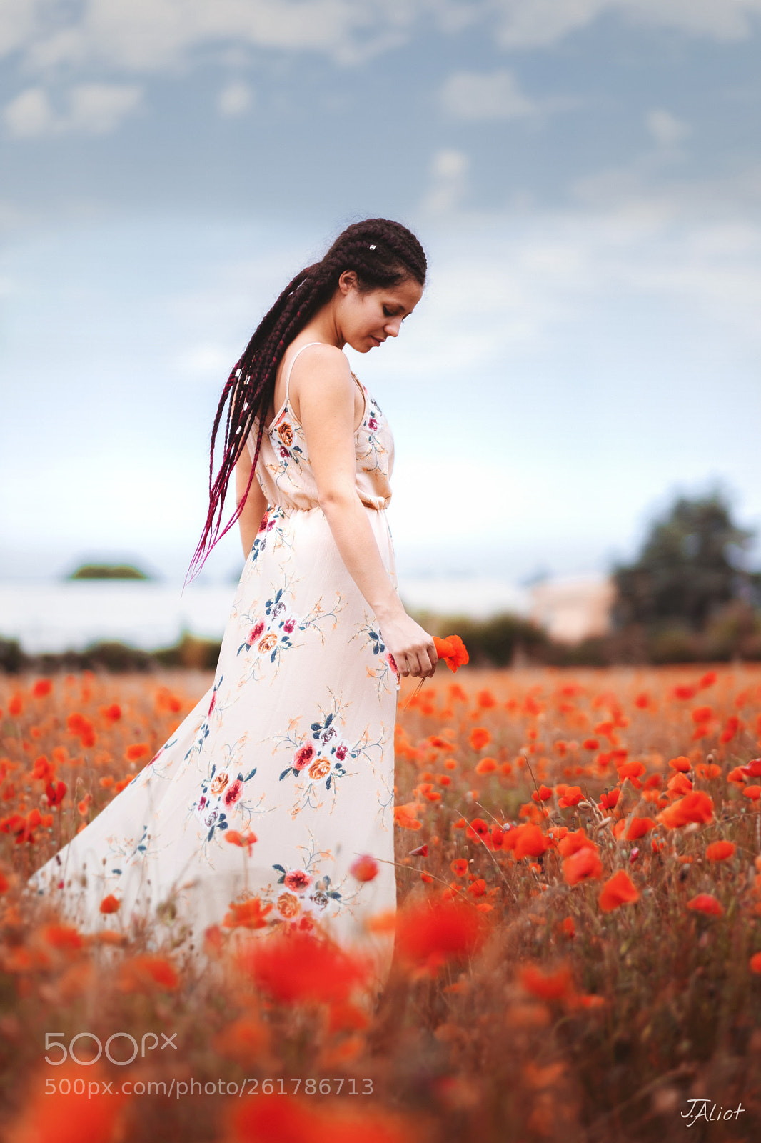 Fujifilm X-T2 sample photo. Sweetness photography