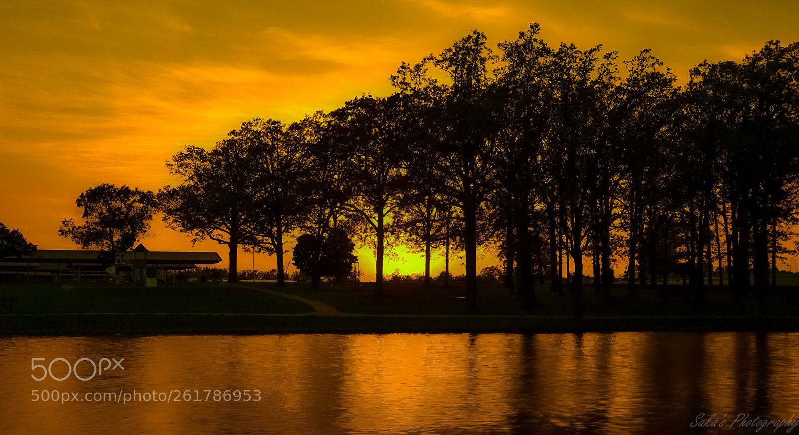 Nikon D850 sample photo. Park at dusk photography