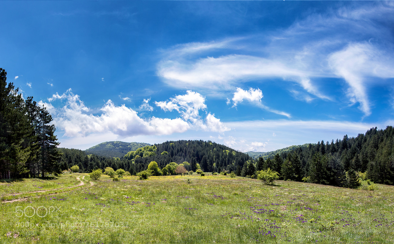 Canon EOS 700D (EOS Rebel T5i / EOS Kiss X7i) sample photo. Panorama photography