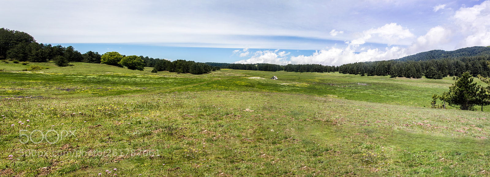 Canon EOS 700D (EOS Rebel T5i / EOS Kiss X7i) sample photo. Panoramica photography