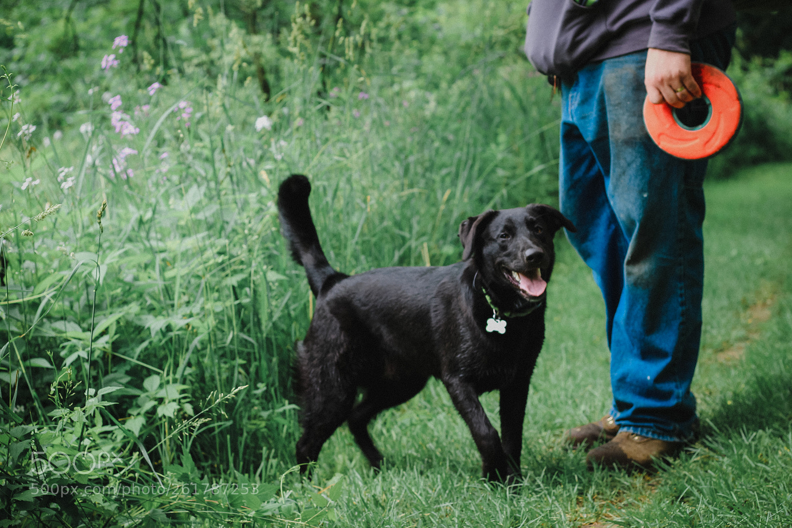 Canon EOS 1200D (EOS Rebel T5 / EOS Kiss X70 / EOS Hi) sample photo. Man and his dog photography