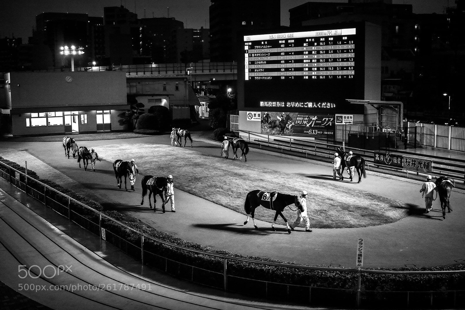 Sigma DP2 Merrill sample photo. Untitled photography