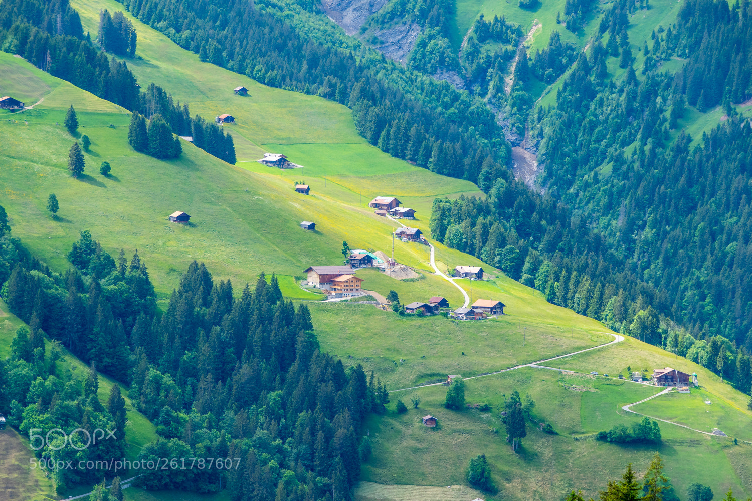 Nikon D3300 sample photo. Living on the slope photography