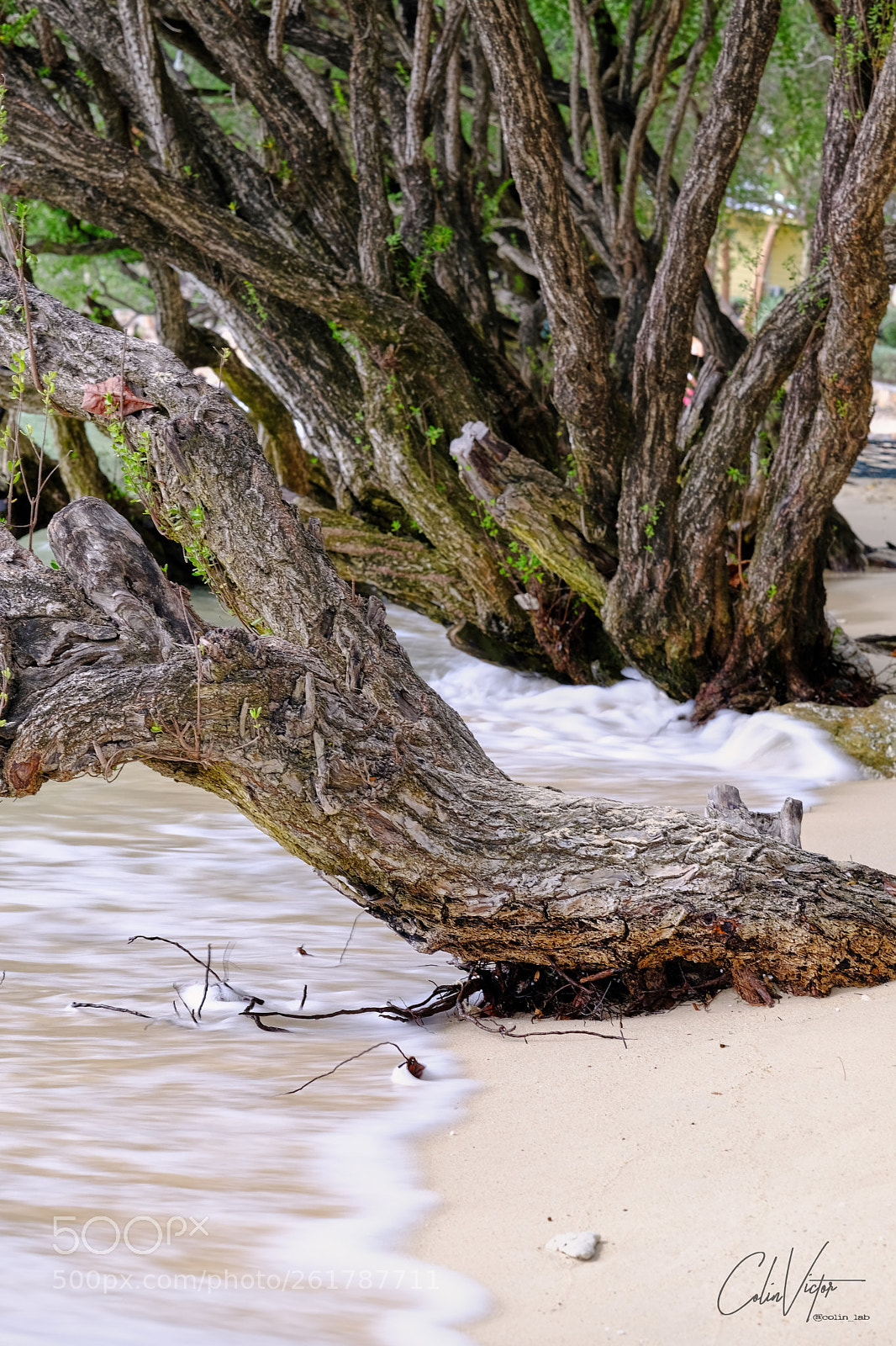 Fujifilm X-T20 sample photo. Sand & beach photography