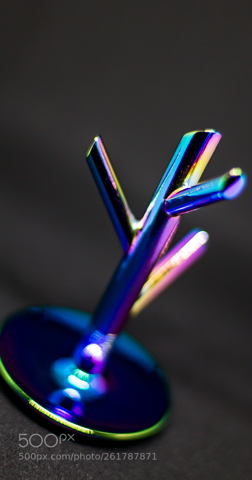 Canon EOS 70D sample photo. A ring hanger photography