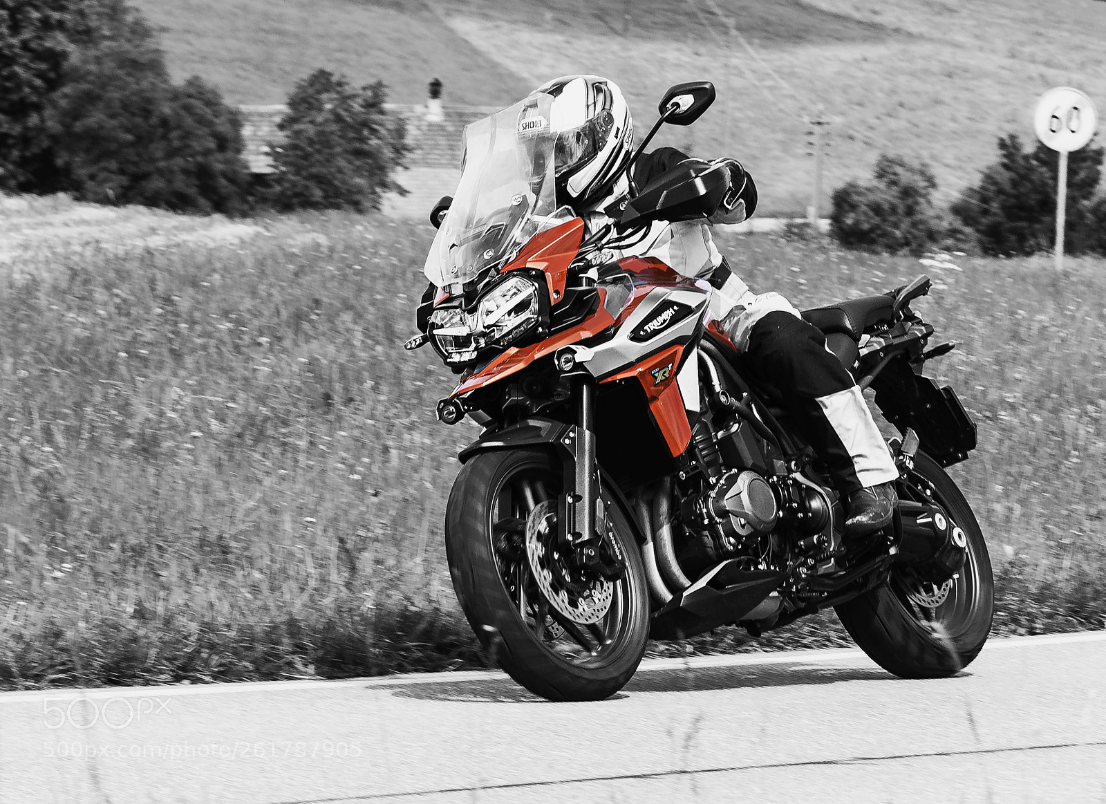 Nikon D500 sample photo. Triumph tiger photography