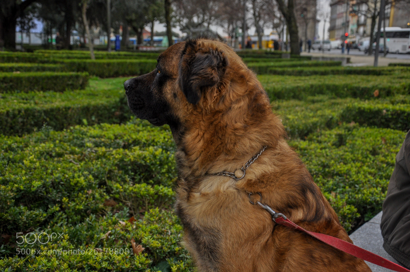 Nikon D90 sample photo. Sl de abril photography