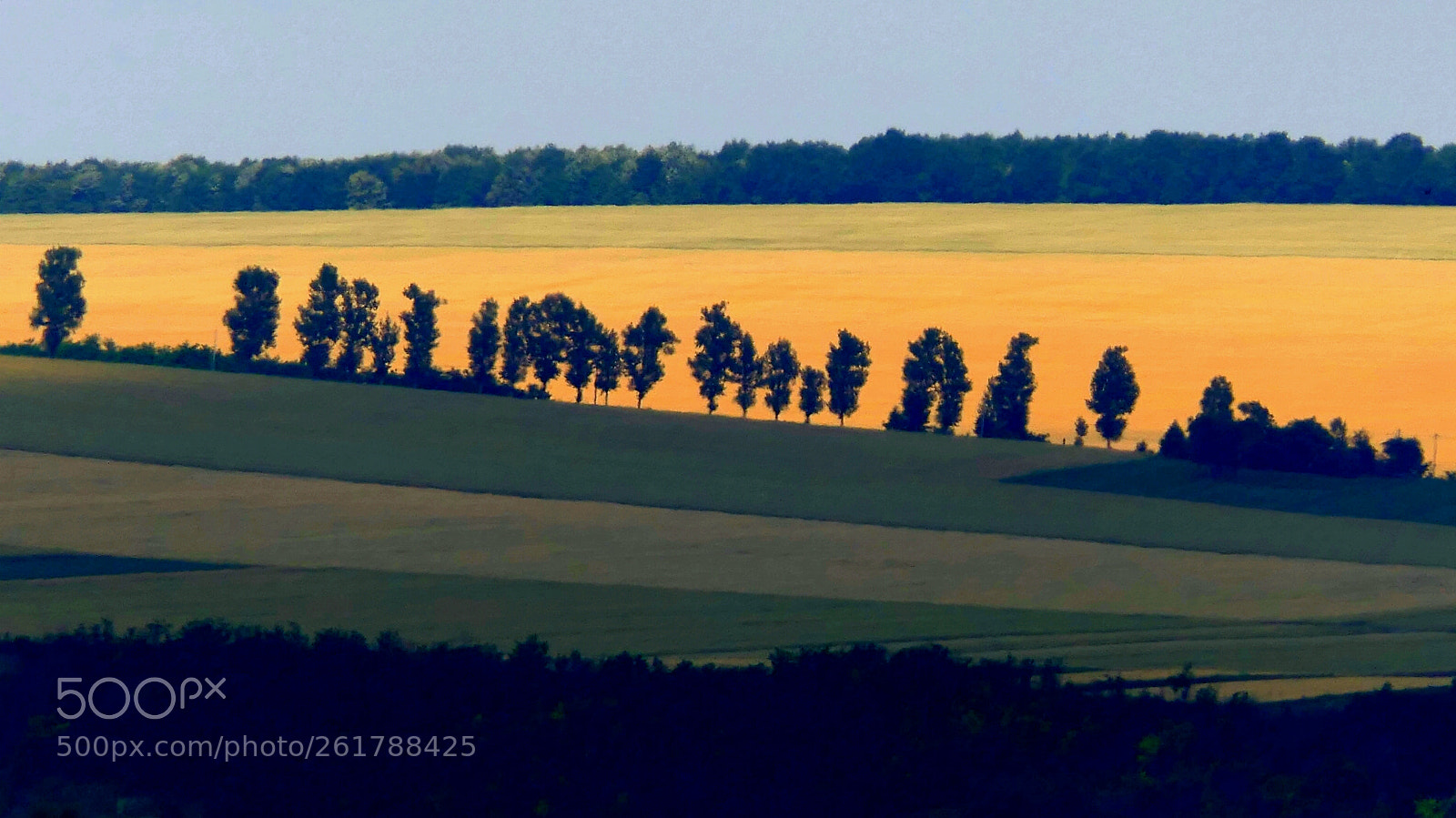 Panasonic Lumix DMC-FZ2500 (Lumix DMC-FZ2000) sample photo. Summer colors photography