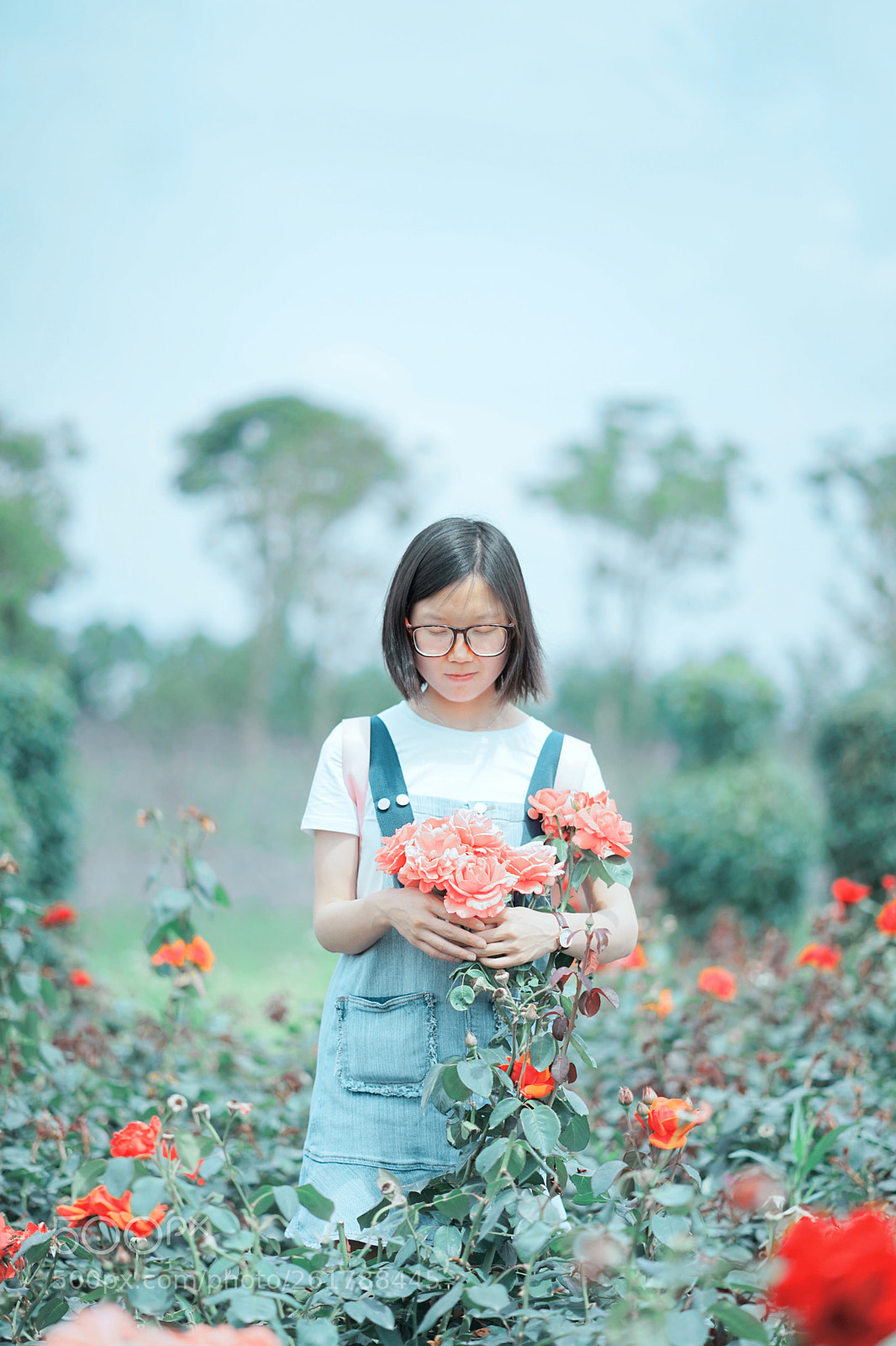 Sony a7 II sample photo. 莫斯利安玫瑰庄园，非常适合小清新人像 photography