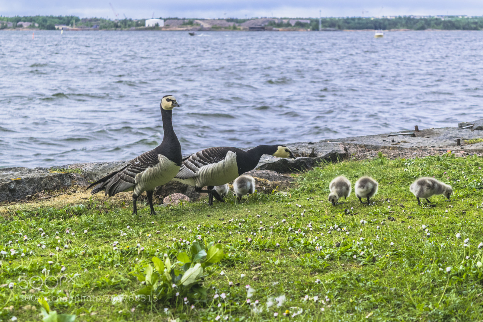 Nikon D3300 sample photo. Dsc photography
