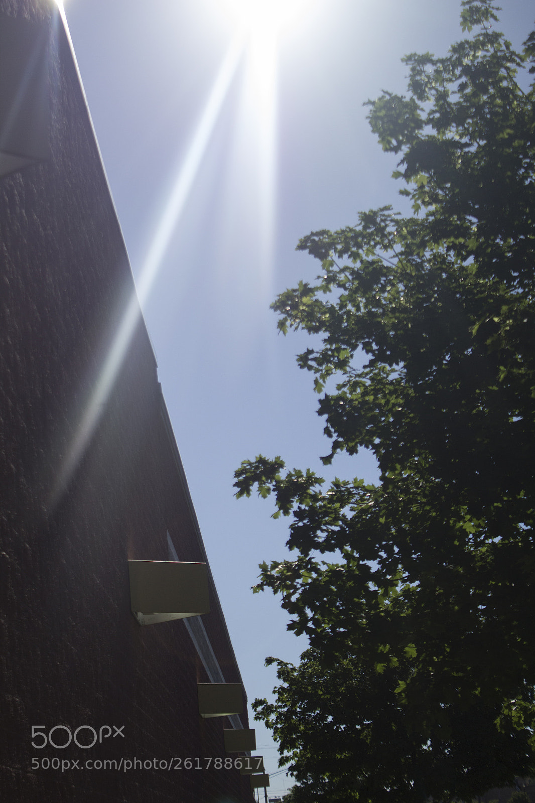 Canon EOS 1200D (EOS Rebel T5 / EOS Kiss X70 / EOS Hi) sample photo. Sunshine, bricks, and treetop. photography