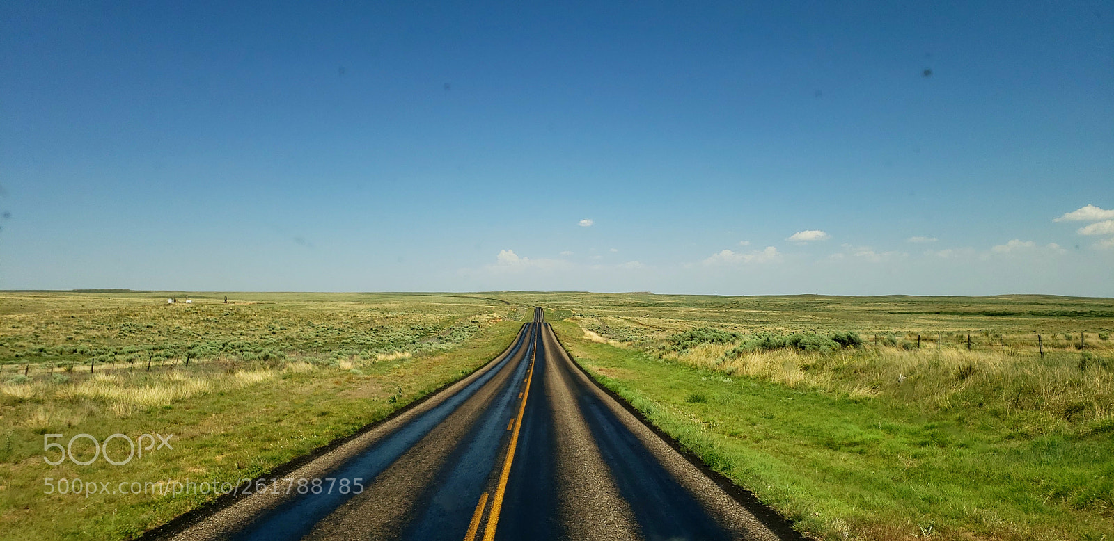 Samsung Galaxy S9+ sample photo. Truly texas photography