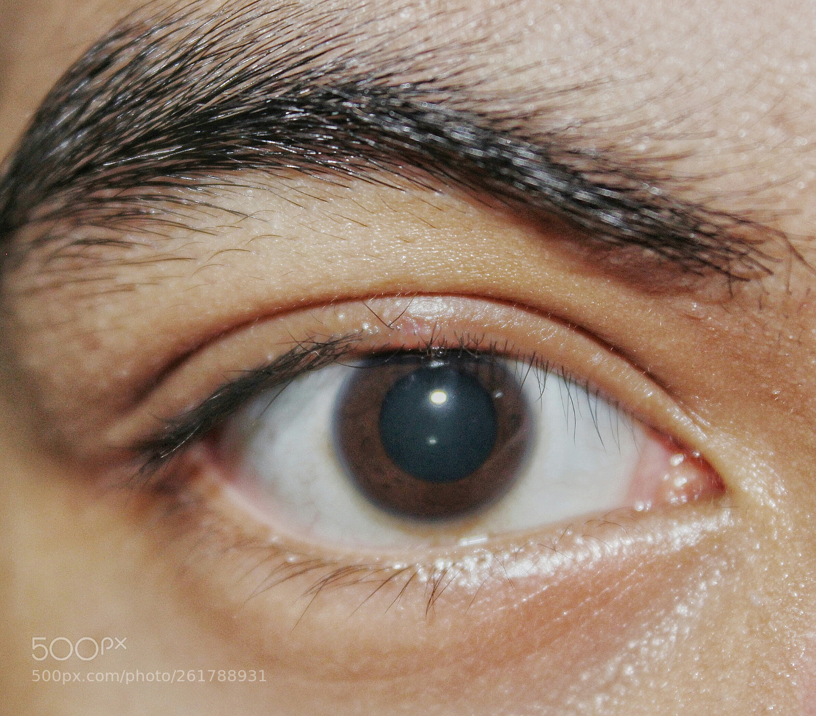 Canon EOS 1200D (EOS Rebel T5 / EOS Kiss X70 / EOS Hi) sample photo. Lanz photography