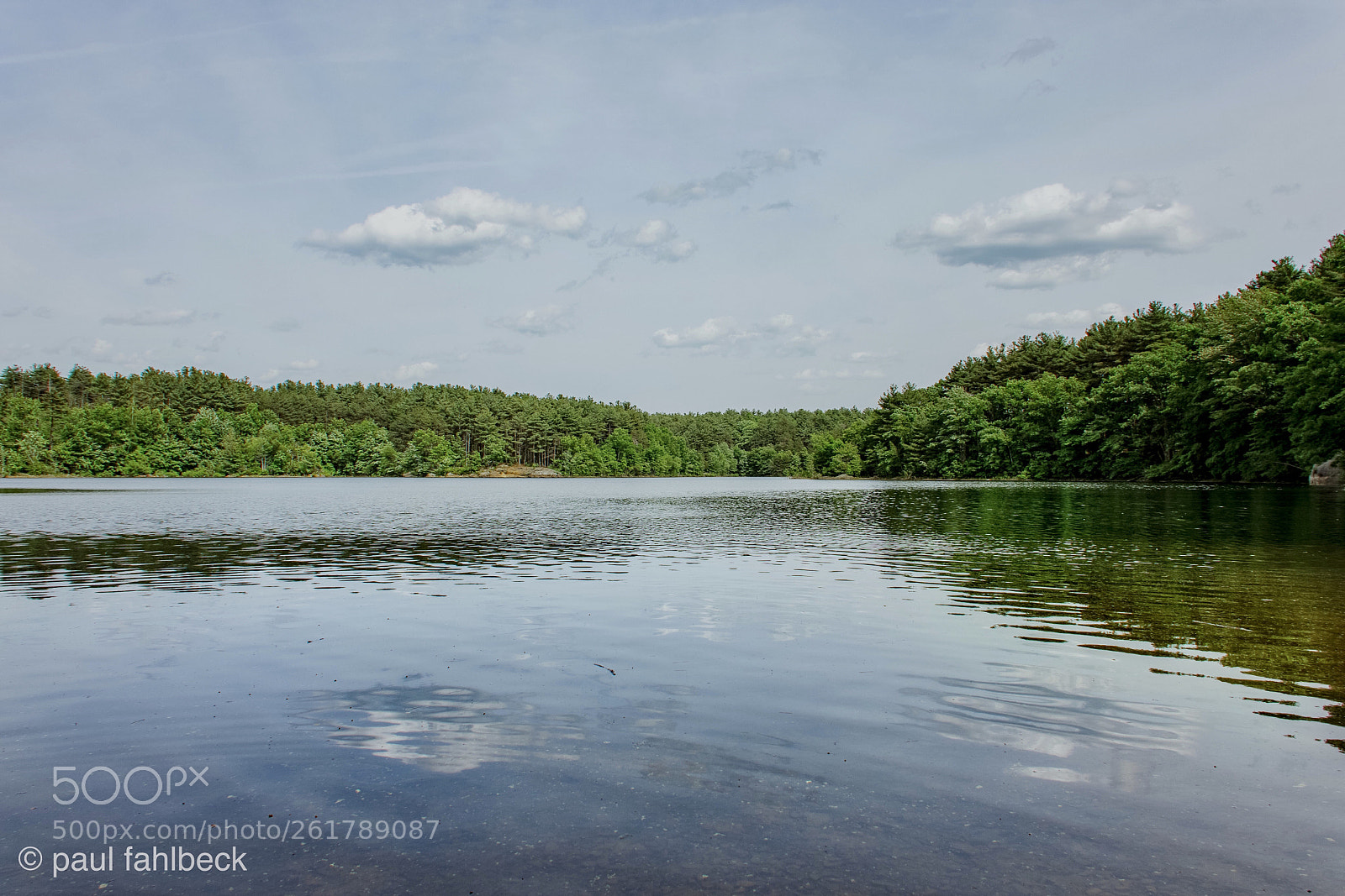 Nikon D7200 sample photo. Untitled photography