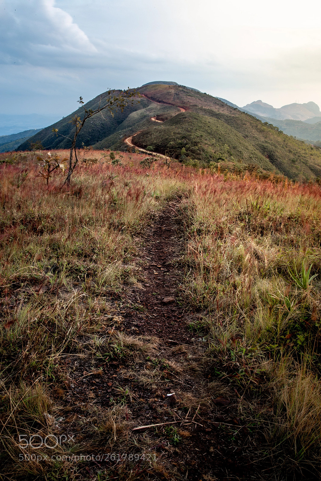 Canon EOS 6D sample photo. Tortuous path photography