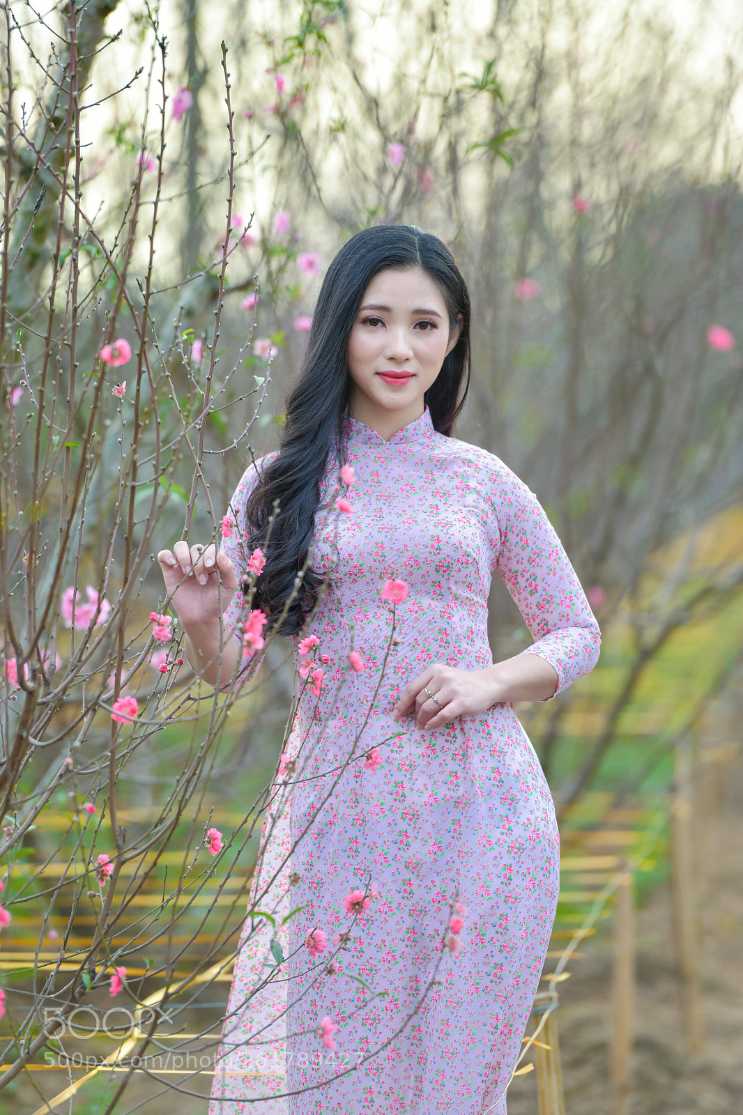 Nikon D850 sample photo. O d i vietnam photography