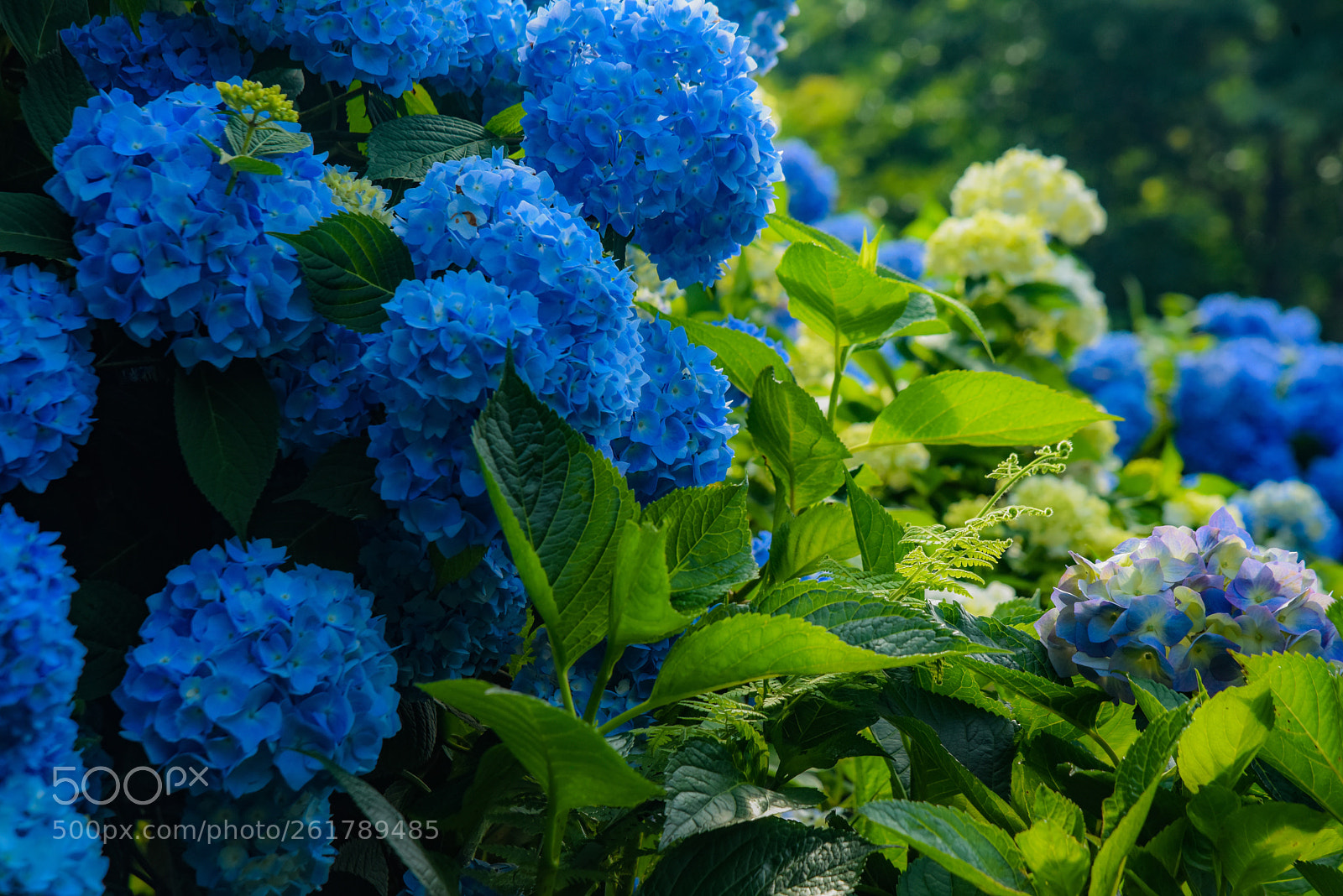 Nikon D810 sample photo. Untitled photography