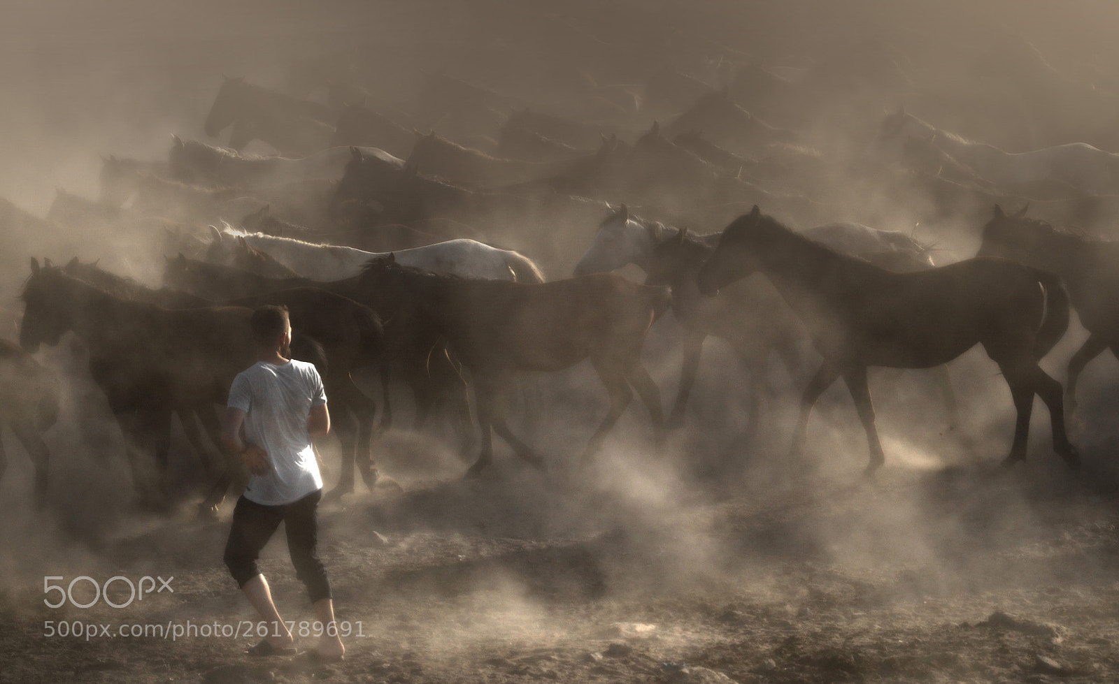 Nikon D7000 sample photo. Horses in dust smoke photography