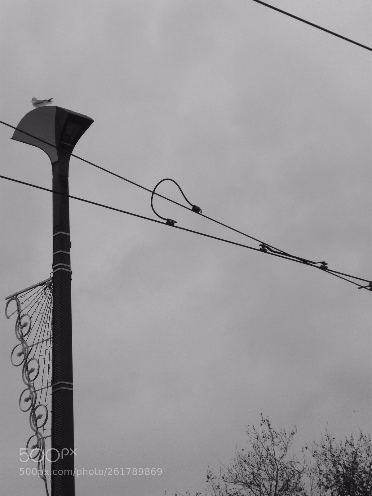 Panasonic Lumix DMC-FS3 sample photo. Un oiseau dans la photography
