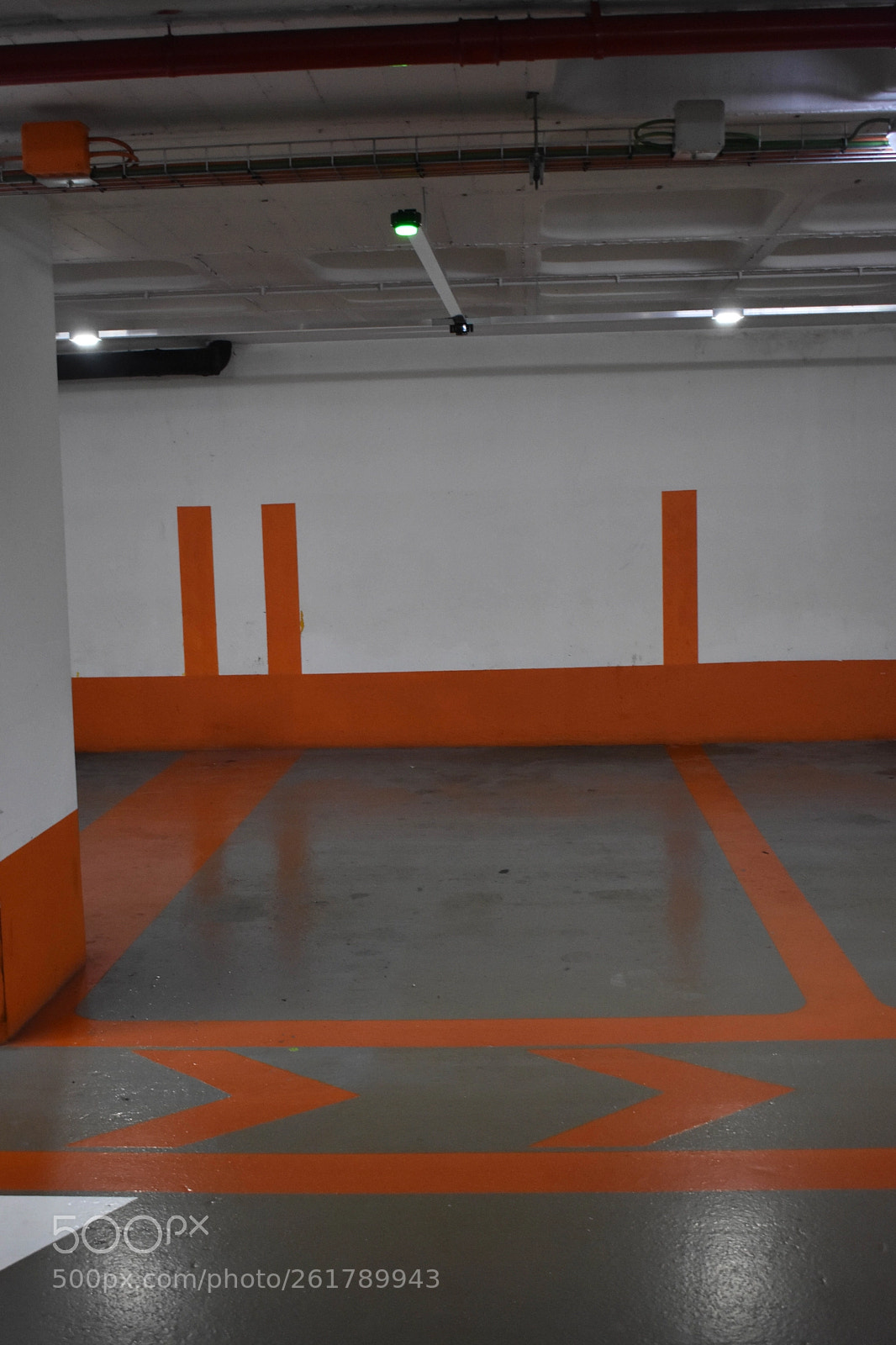 Nikon D3400 sample photo. Untitled photography