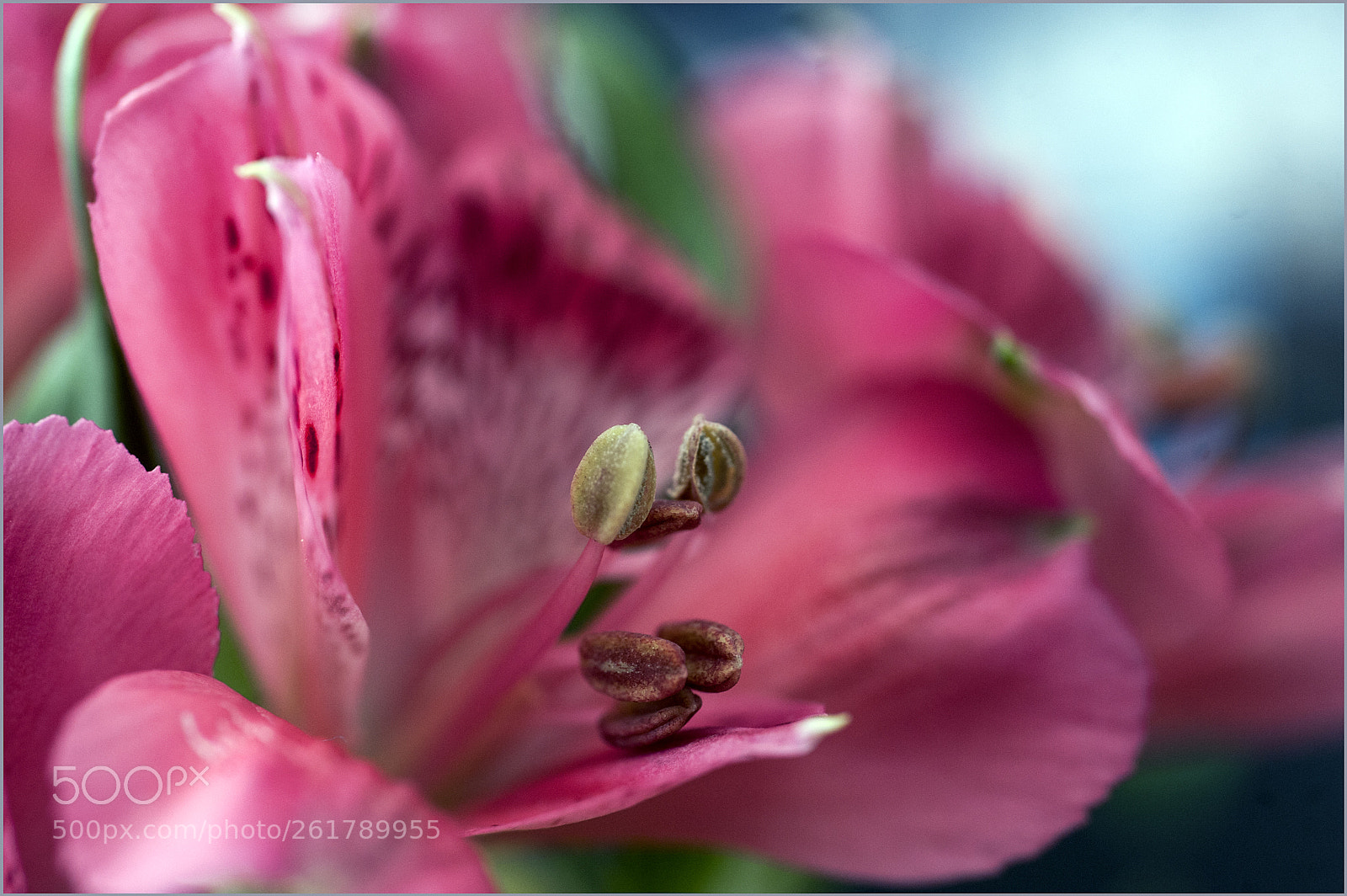 Nikon D700 sample photo. *** photography