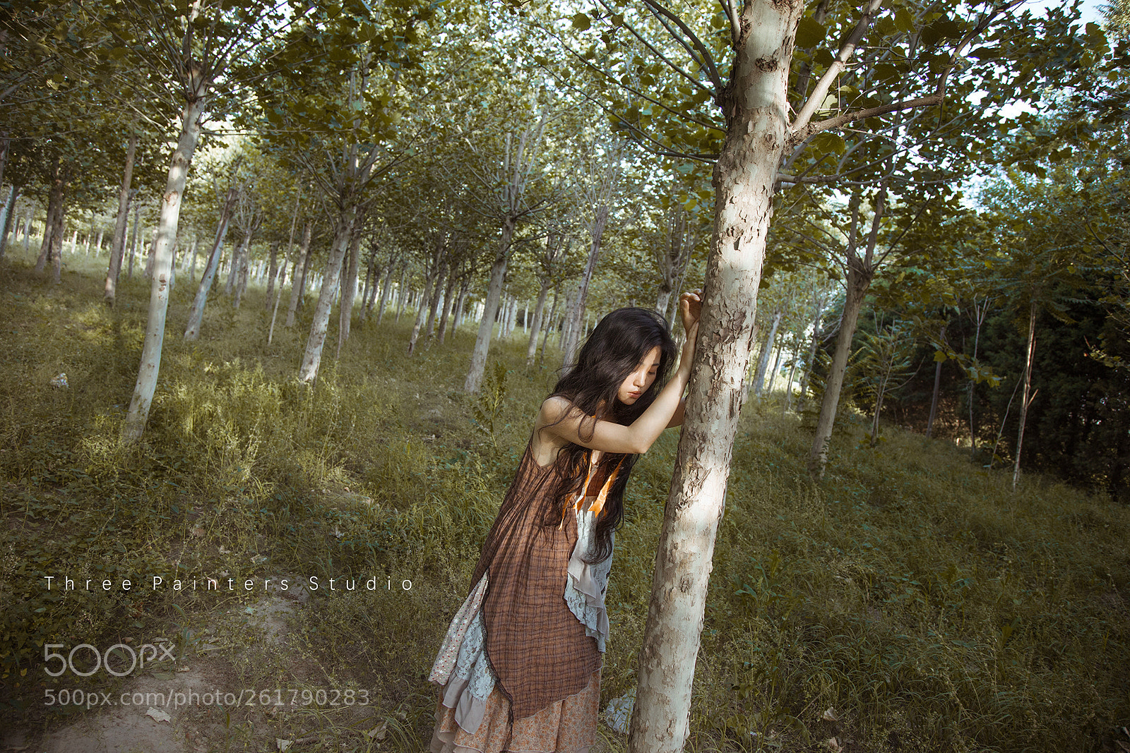 Canon EOS 6D sample photo. -set free photography