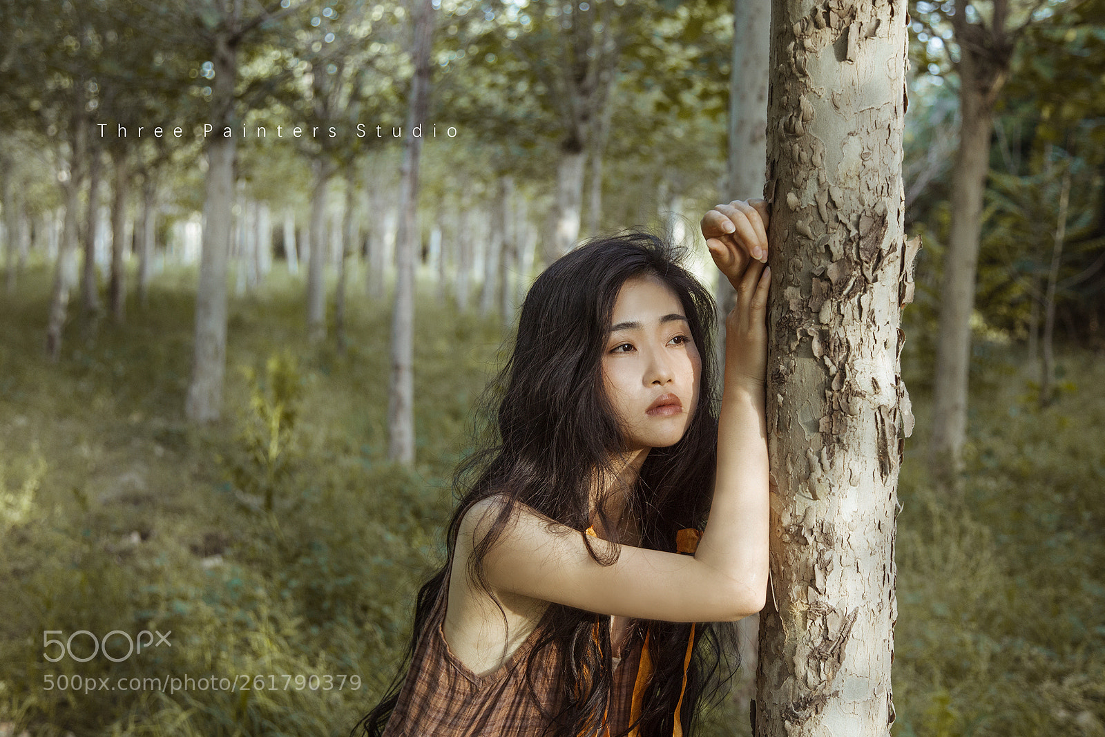 Canon EOS 6D sample photo. -set free photography