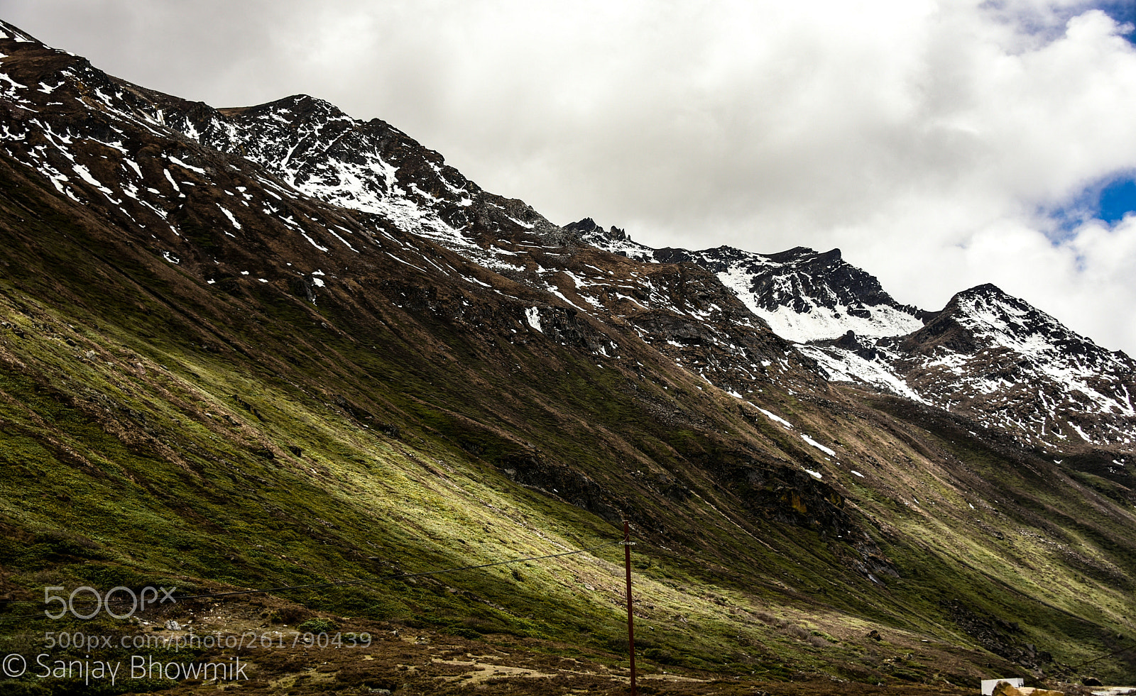 Nikon D750 sample photo. Untitled photography