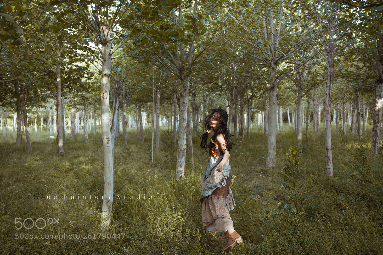 Canon EOS 6D sample photo. -set free photography