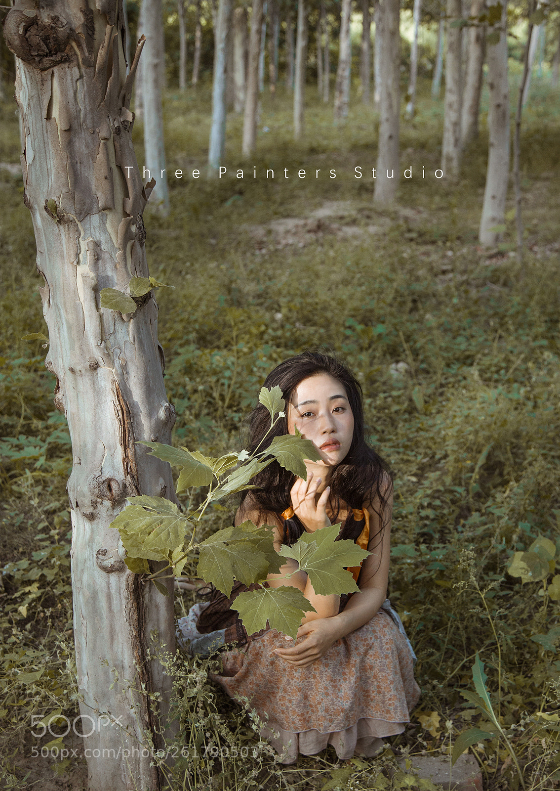 Canon EOS 6D sample photo. -set free photography