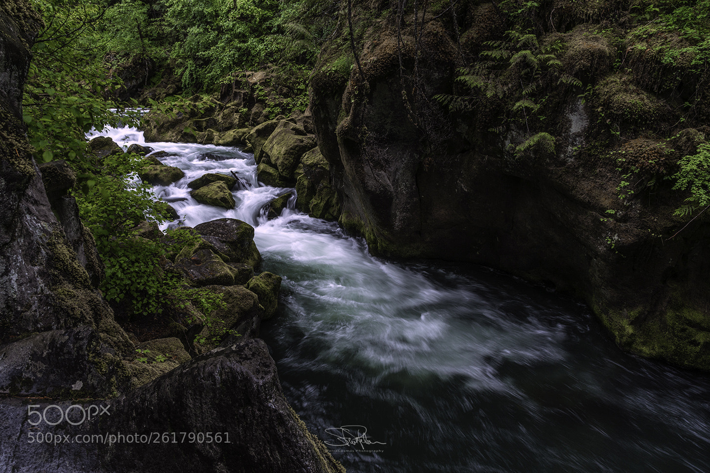 Sony a7R II sample photo. National creek photography
