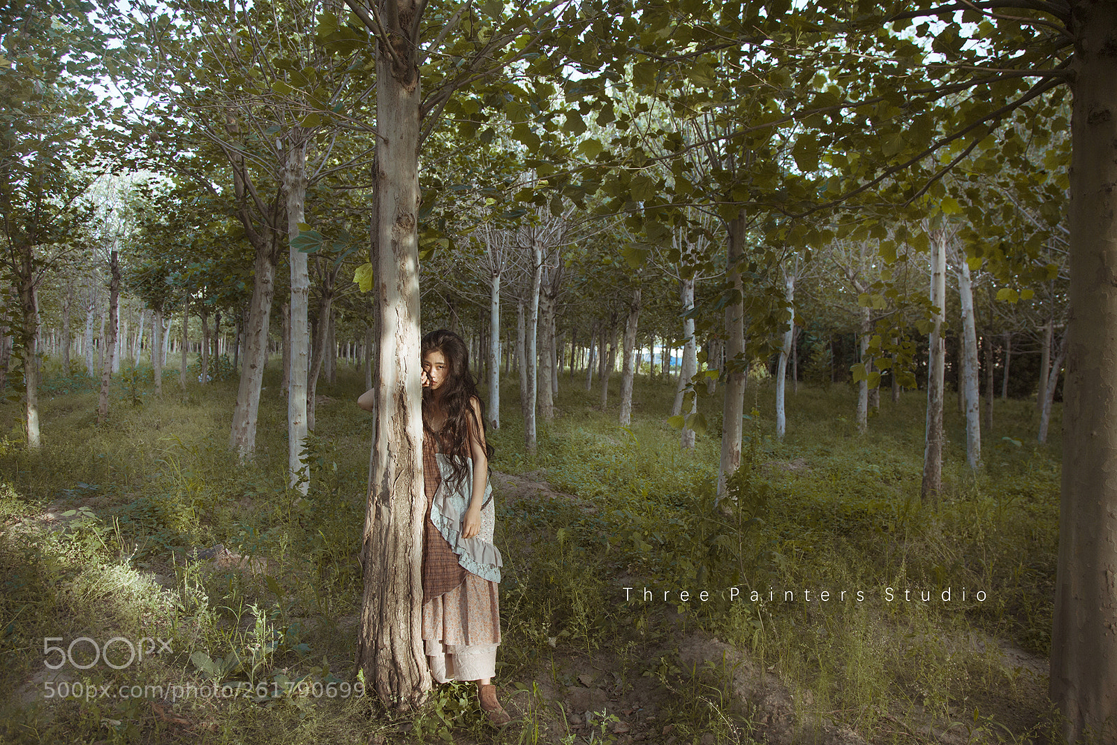 Canon EOS 6D sample photo. -set free photography