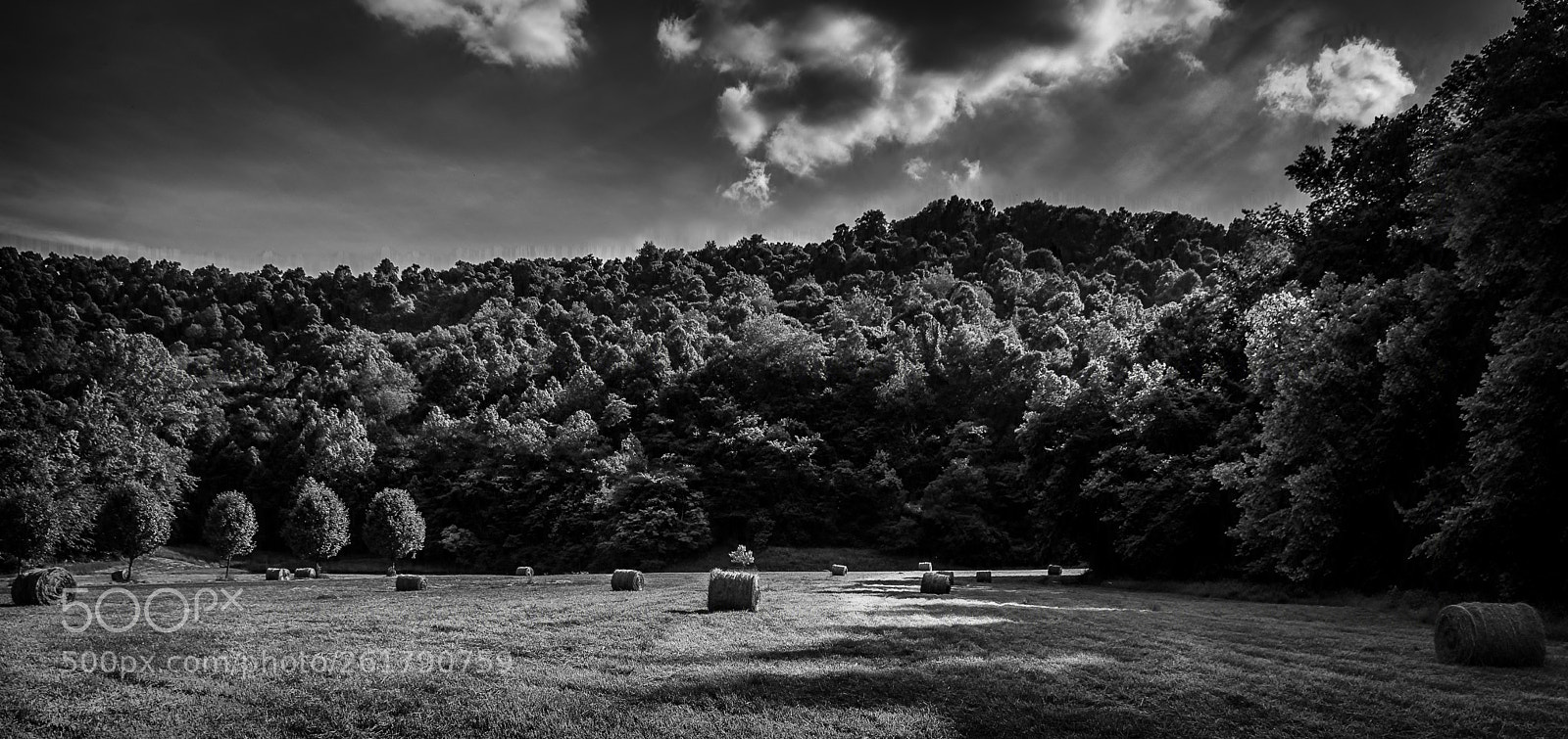 Nikon D7100 sample photo. Days end at harvest photography