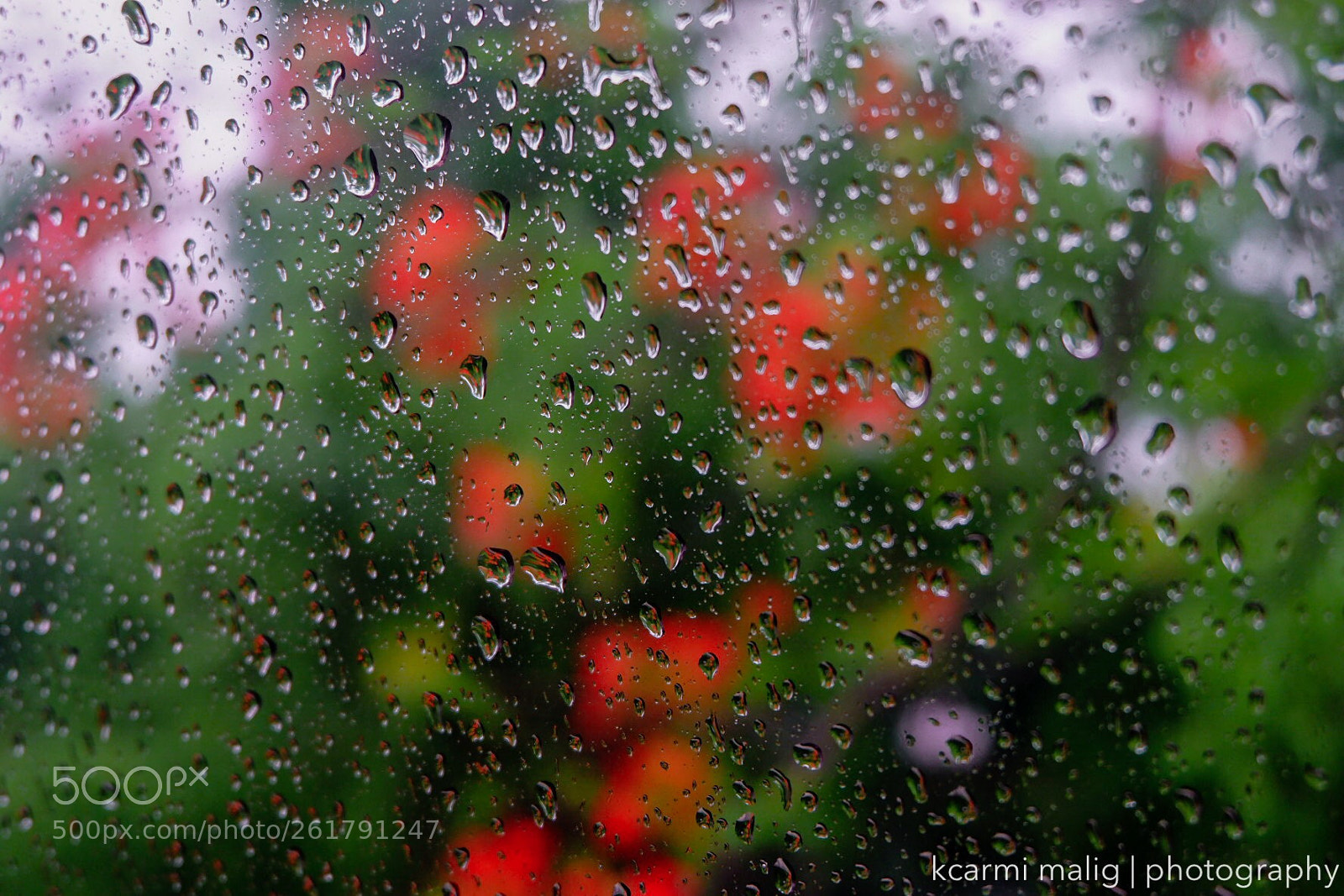Fujifilm X-A3 sample photo. Umbrella season photography