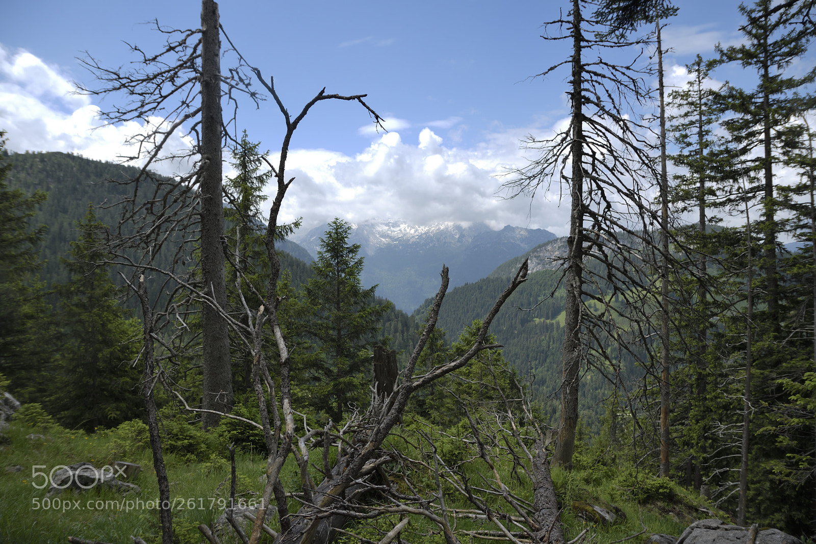 Nikon D7500 sample photo. Mountain view near ramsau photography