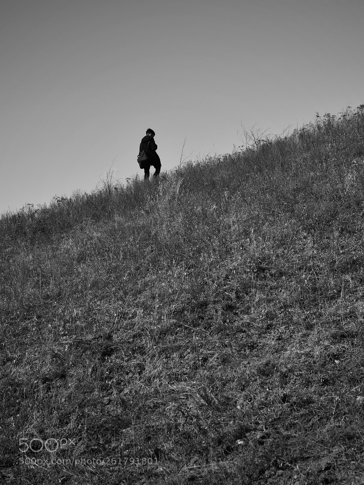Nikon D5100 sample photo. Untitled photography