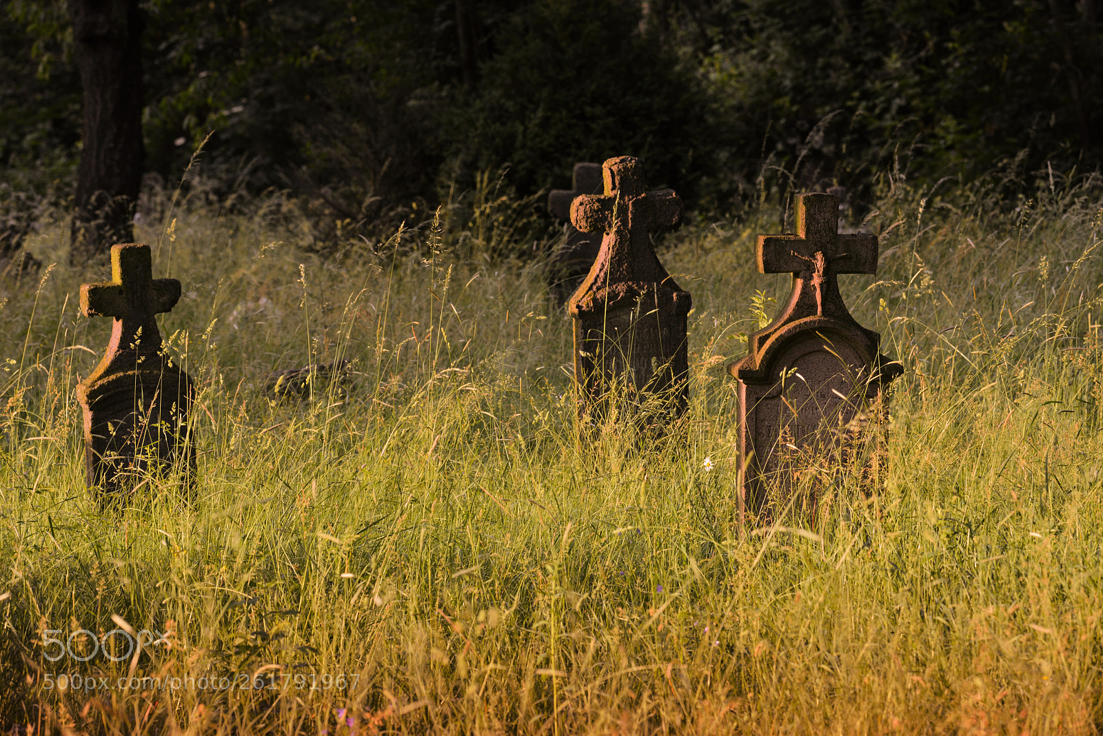 Nikon D800 sample photo. Forgotten... photography