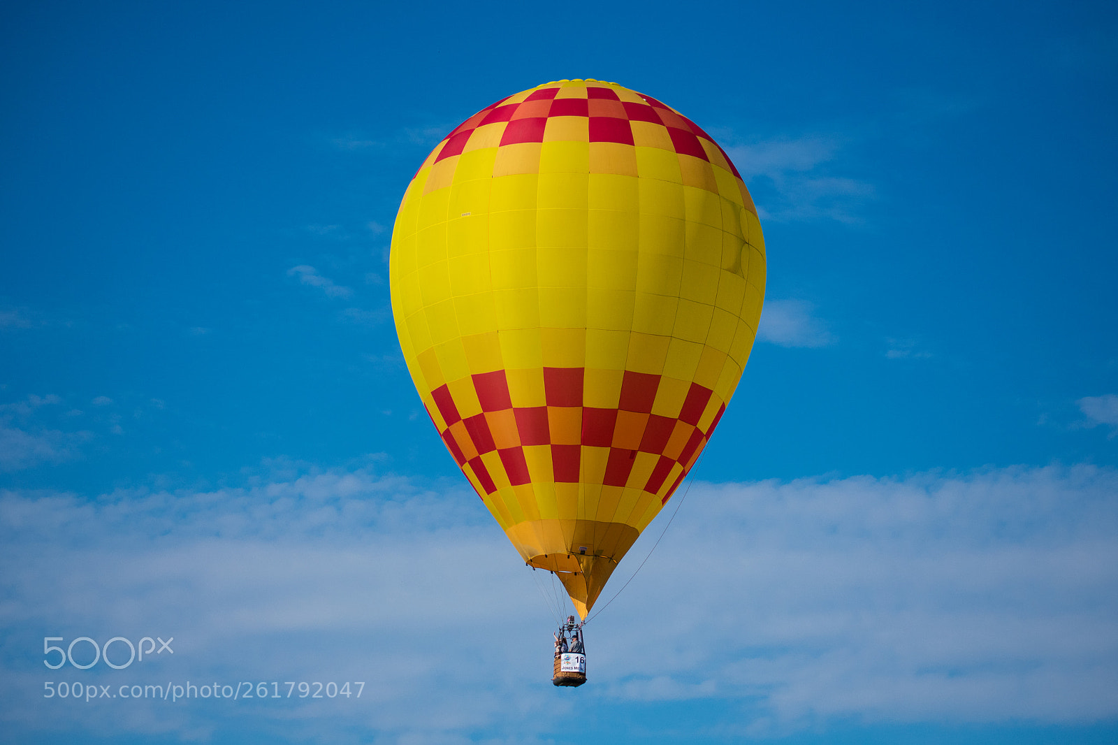 Nikon D3400 sample photo. Up and away photography