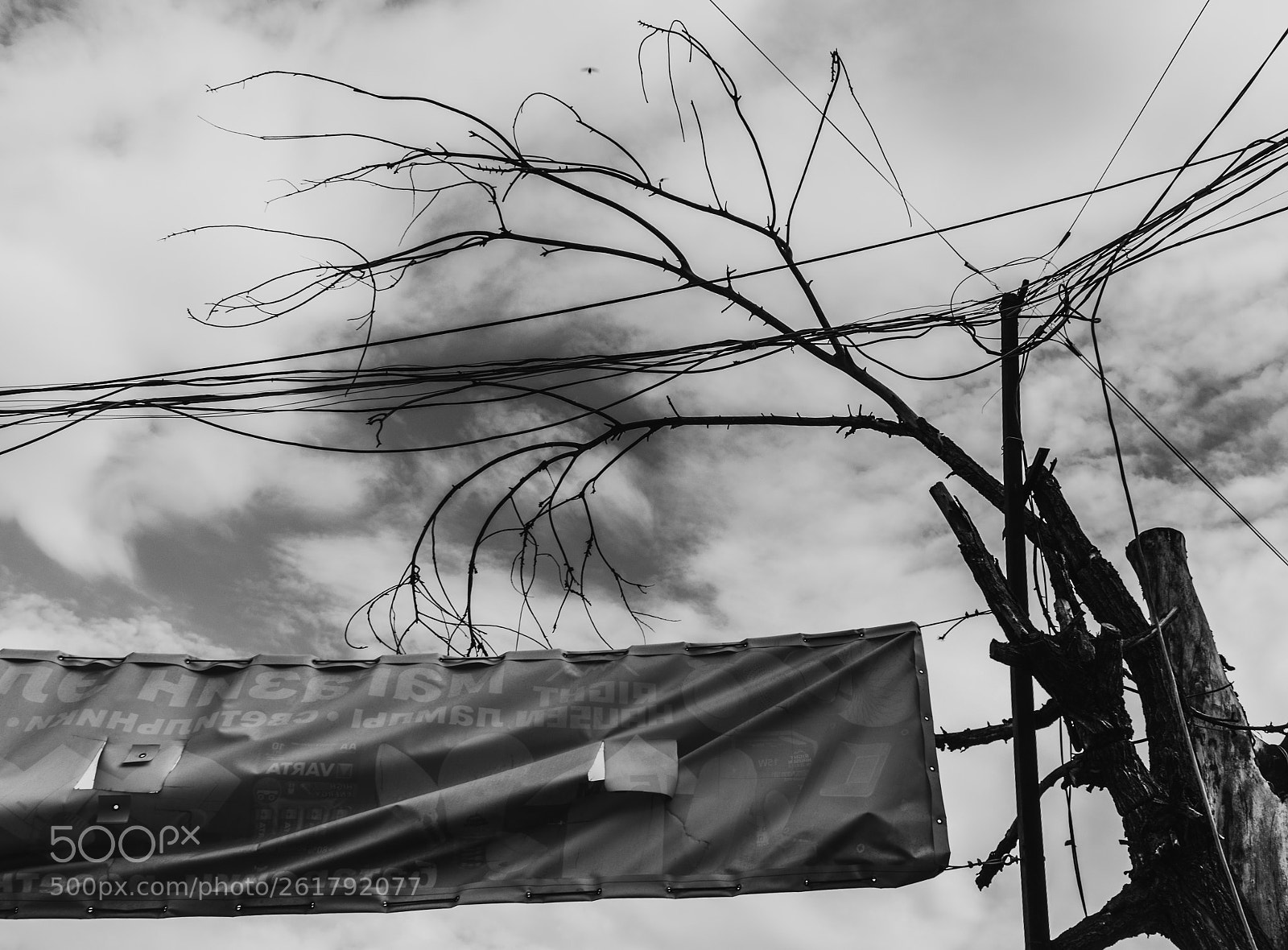 Nikon D3300 sample photo. Ii photography