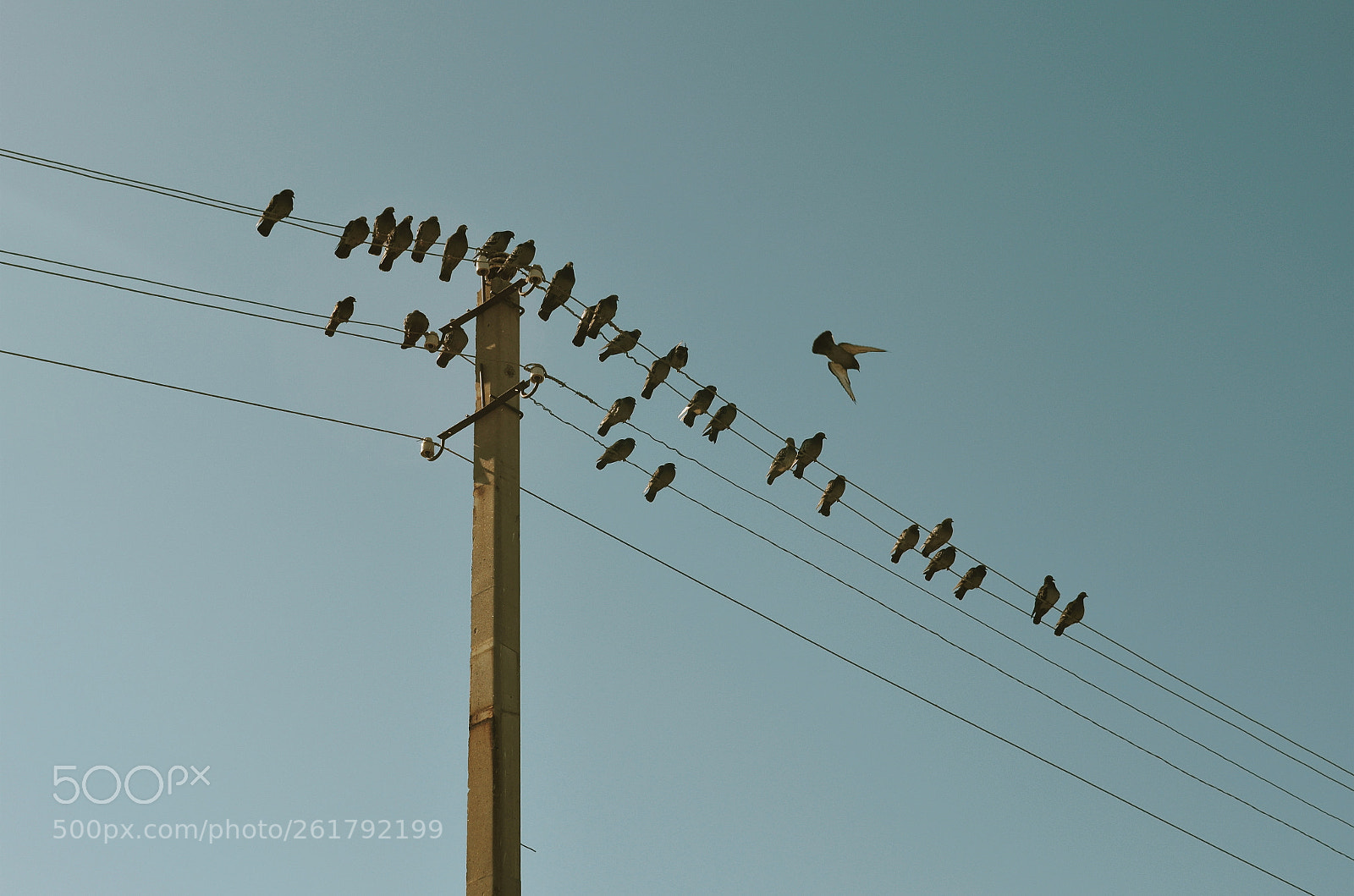 Nikon D5100 sample photo. Untitled photography
